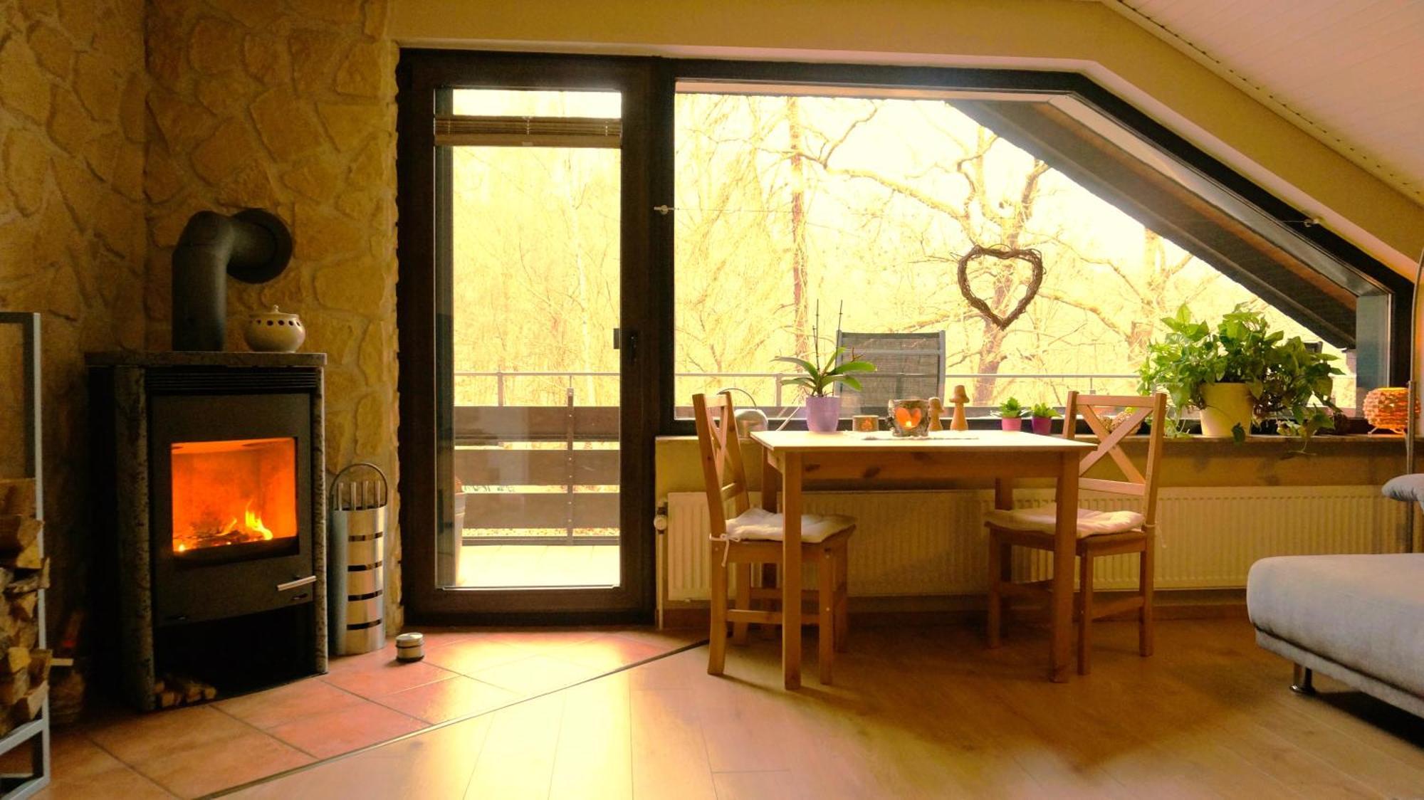 Ferienwohnung Im Wald Mit Kamin Bad Harzburg Dış mekan fotoğraf