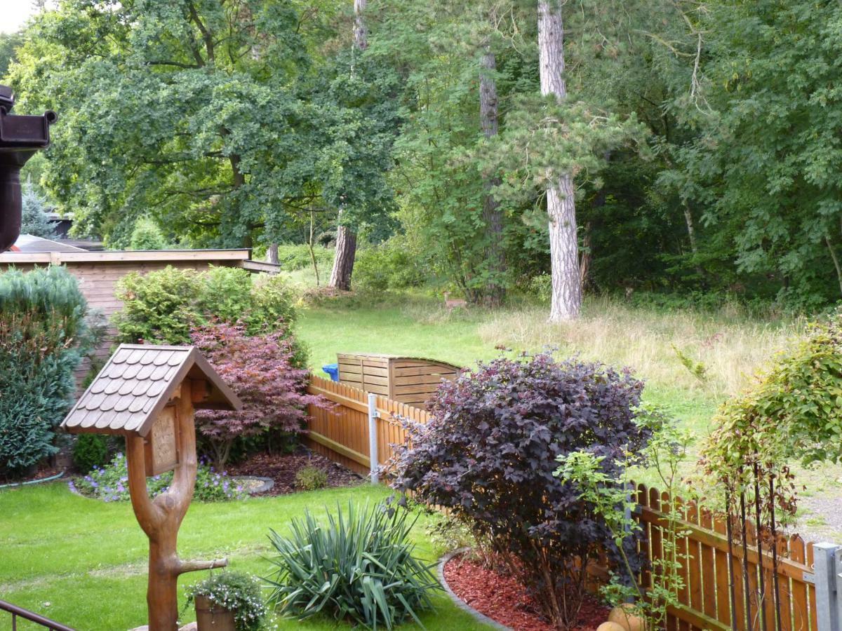 Ferienwohnung Im Wald Mit Kamin Bad Harzburg Dış mekan fotoğraf